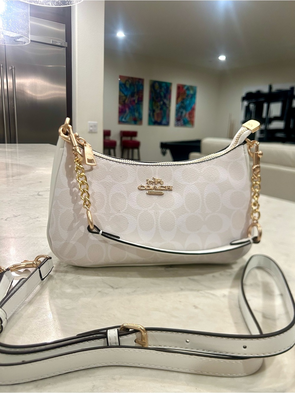 Coach Purse Terri Bag